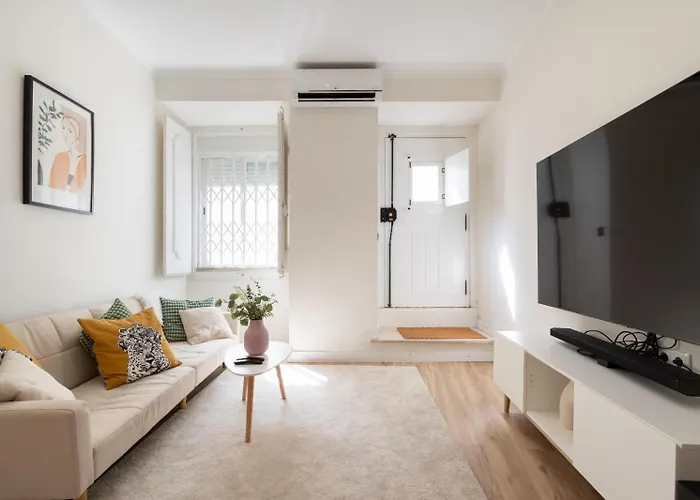 Experience Like A Local *