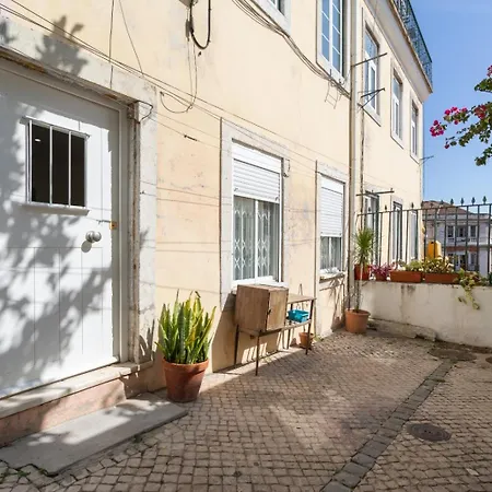 Experience Like A Local Lisboa